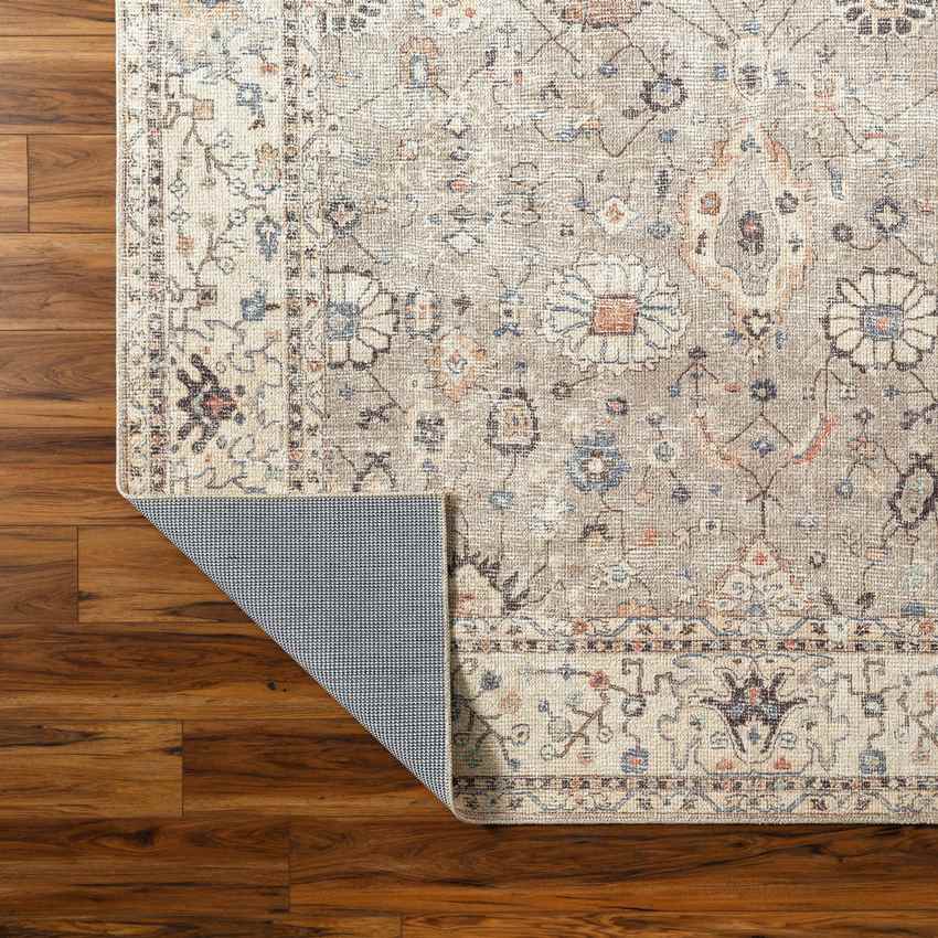 Davina Traditional Camel Area Rug - Becki Owens x Livabliss