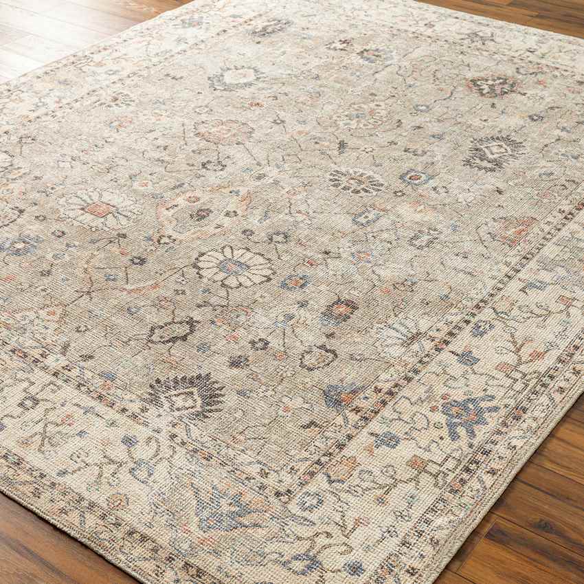 Davina Traditional Camel Area Rug - Becki Owens x Livabliss