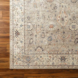 Davina Traditional Camel Area Rug - Becki Owens x Livabliss
