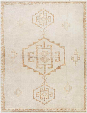 Solana Global Apricot/Beige Area Rug - Becki Owens x Livabliss