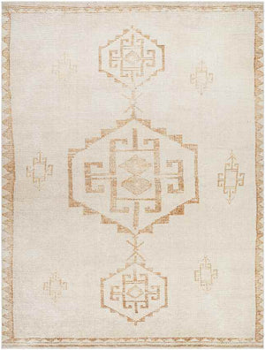 Solana Global Apricot/Beige Area Rug - Becki Owens x Livabliss