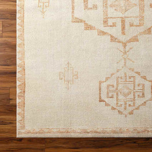 Solana Global Apricot/Beige Area Rug - Becki Owens x Livabliss