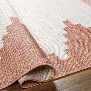 Wolfheze Global Coral/Gray Area Rug