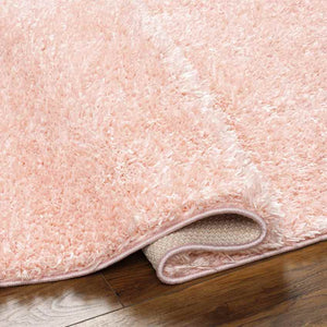 Charon Modern Coral Area Rug