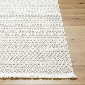 Shina Global Off-White Area Rug