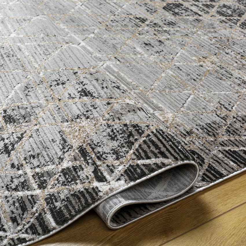 Glynis Modern Black/Light Gray Area Rug