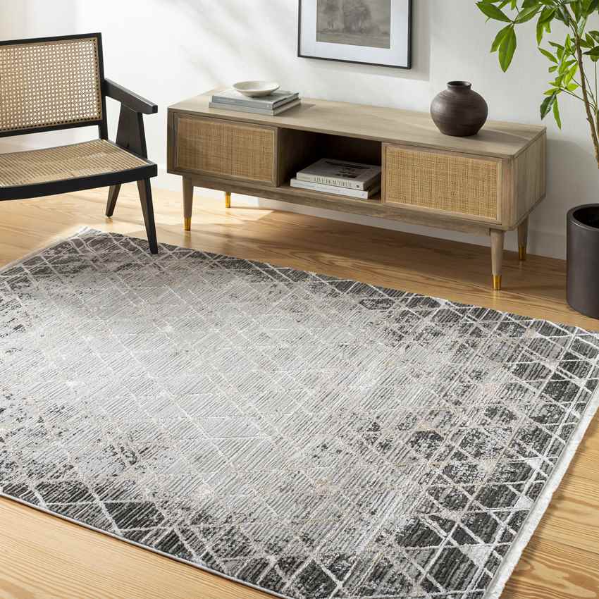 Glynis Modern Black/Light Gray Area Rug