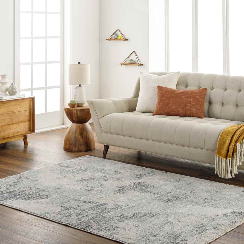 Sahwn Modern Black/Light Gray Area Rug