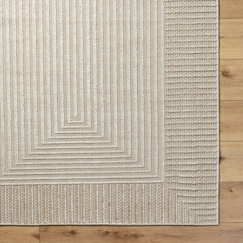 Aldin Modern Beige Area Rug