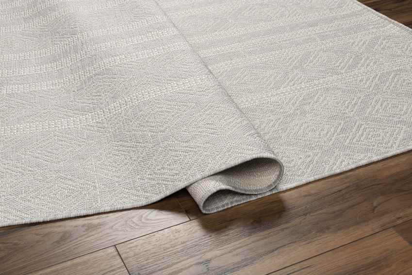 Christophr Global Light Gray/Cream Area Rug
