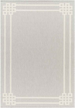 Davinia Modern Light Gray/Ivory Area Rug