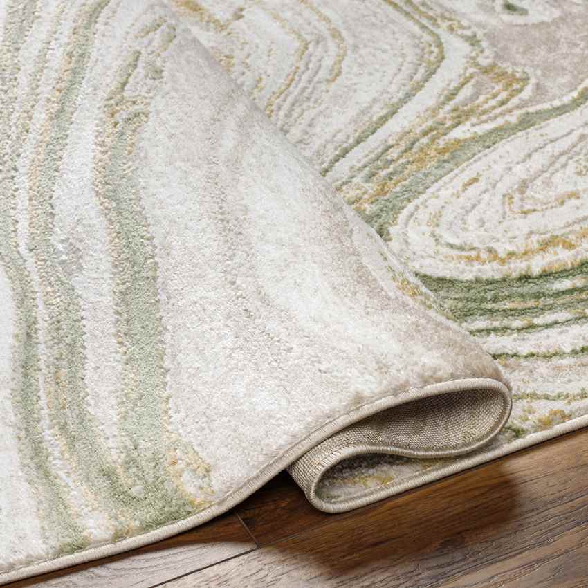 Glendy Modern Moss/Beige Area Rug
