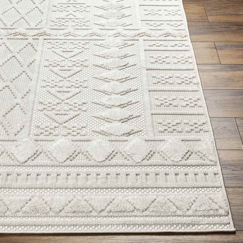 Eryca Modern Beige Area Rug