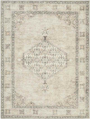 Lila Traditional Blush/Beige Area Rug - Becki Owens x Livabliss