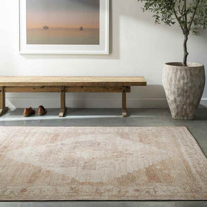 Luca Traditional Blush/Cream Area Rug - Becki Owens x Livabliss