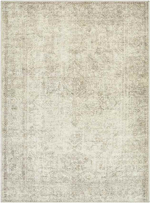 Margot Traditional Sage/Cream Area Rug - Becki Owens x Livabliss