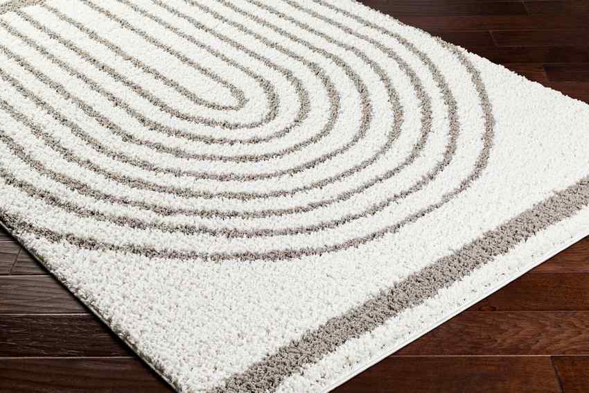 Dainelle Global Light Gray Area Rug