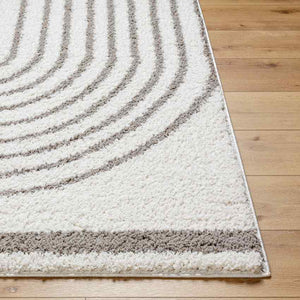 Dainelle Global Light Gray Area Rug