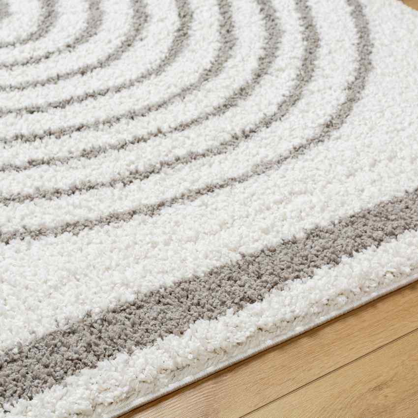 Dainelle Global Light Gray Area Rug