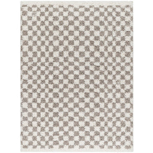 Emmitt Modern Light Gray Area Rug