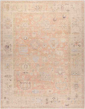 Marlene Traditional Dusty Pink Area Rug - Becki Owens x Livabliss