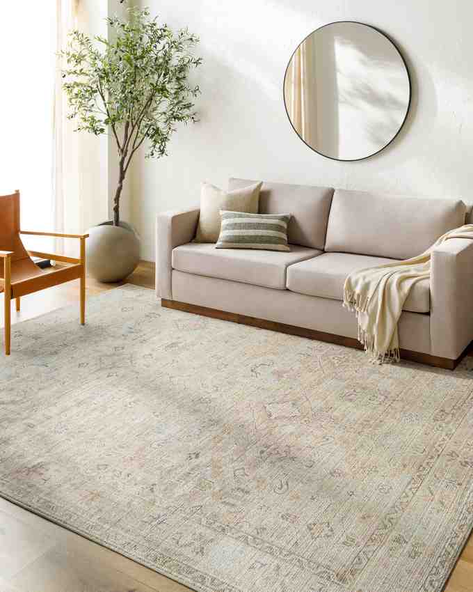 Marlene Traditional Medium Brown Area Rug - Becki Owens x Livabliss