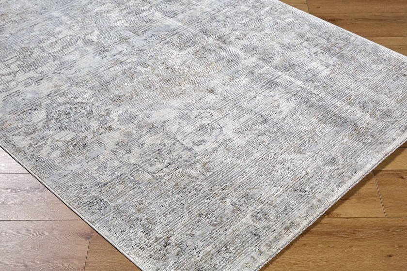 Zerrick Traditional Light Gray Area Rug