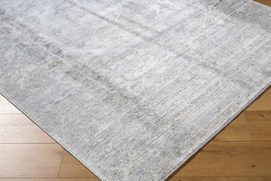Zerrick Traditional Light Gray Area Rug