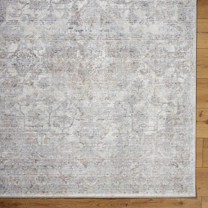 Zerrick Traditional Light Gray Area Rug