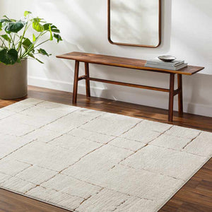 Alexsis Modern Ivory/Brown Area Rug