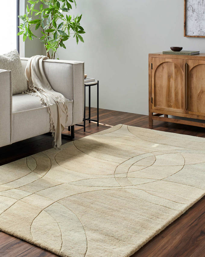 Besancon Modern Ash Area Rug