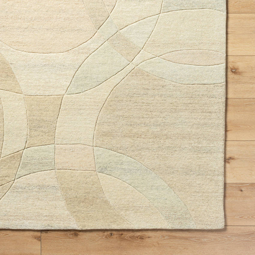 Besancon Modern Ash Area Rug