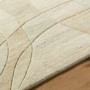 Besancon Modern Ash Area Rug