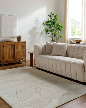 Besancon Modern Light Silver Area Rug