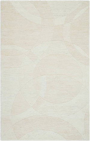 Besancon Modern Light Silver Area Rug