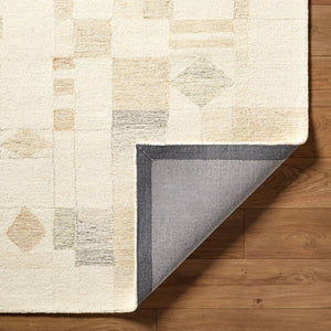 Tyrese Modern Ash Area Rug