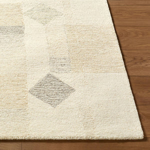 Tyrese Modern Ash Area Rug