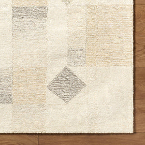 Tyrese Modern Ash Area Rug