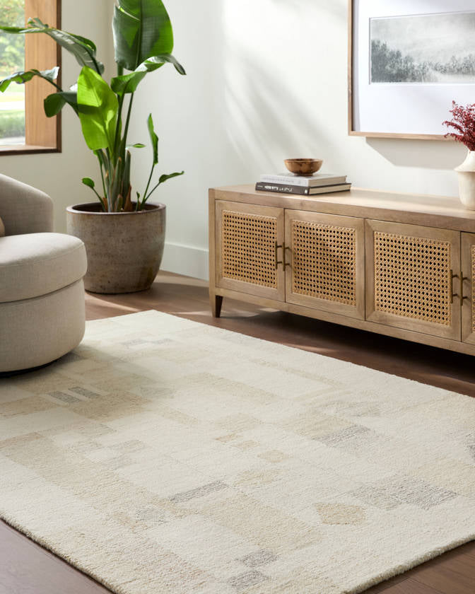Tyrese Modern Ash Area Rug