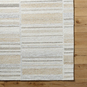 Jacobie Modern Ash Area Rug