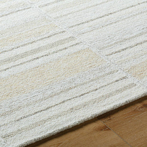 Jacobie Modern Ash Area Rug