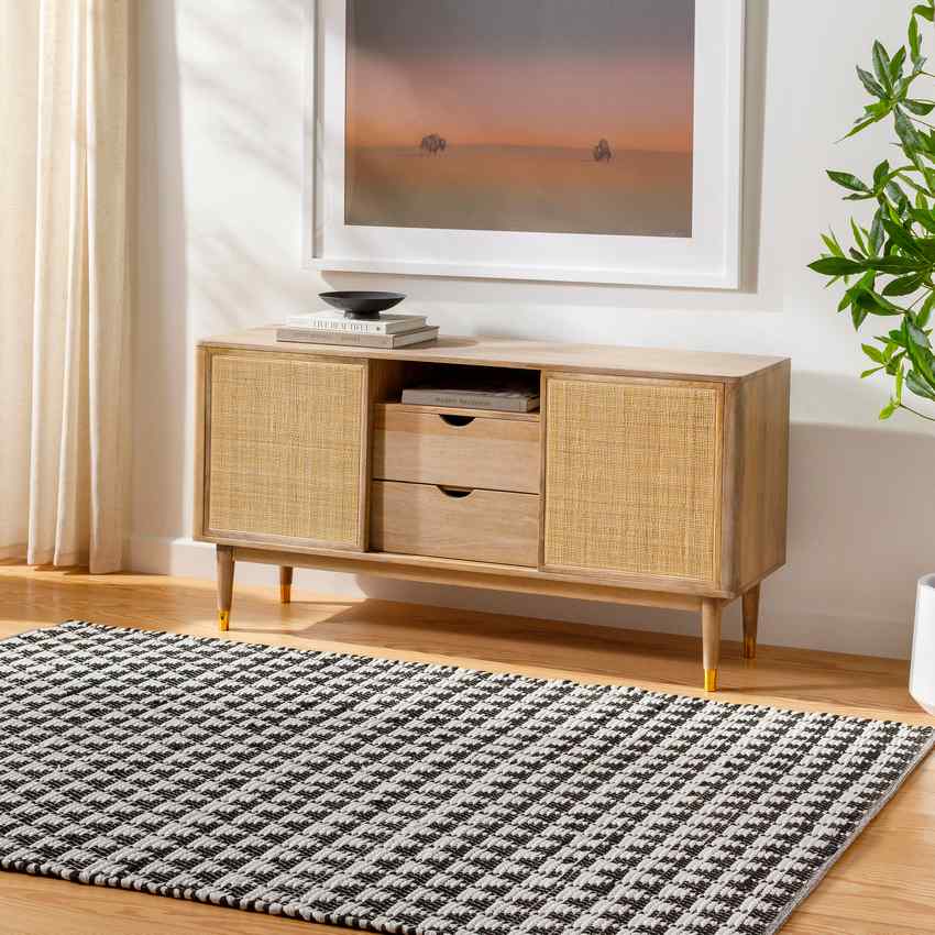 Tenecia Modern Ivory Area Rug