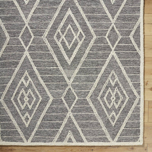 Ajit Global Grey Area Rug