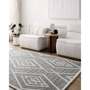 Ajit Global Grey Area Rug