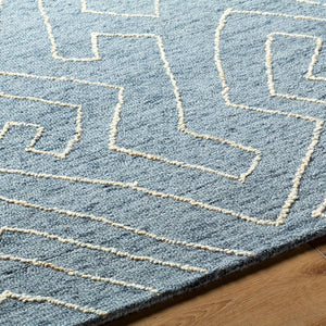 Tim Modern Slate Blue Area Rug