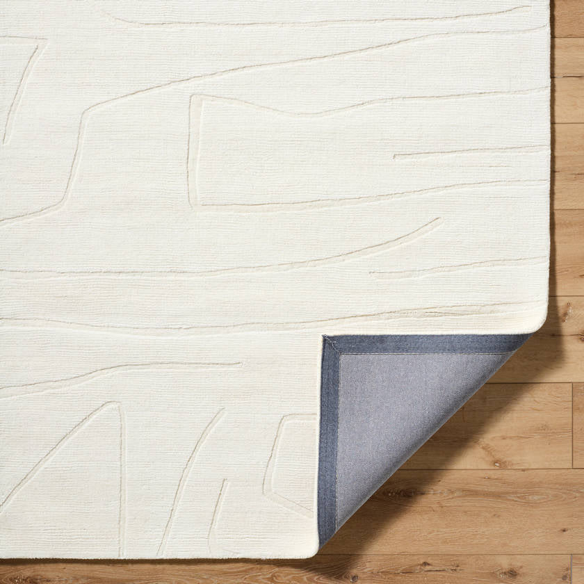 Felipe Modern Off-White Area Rug