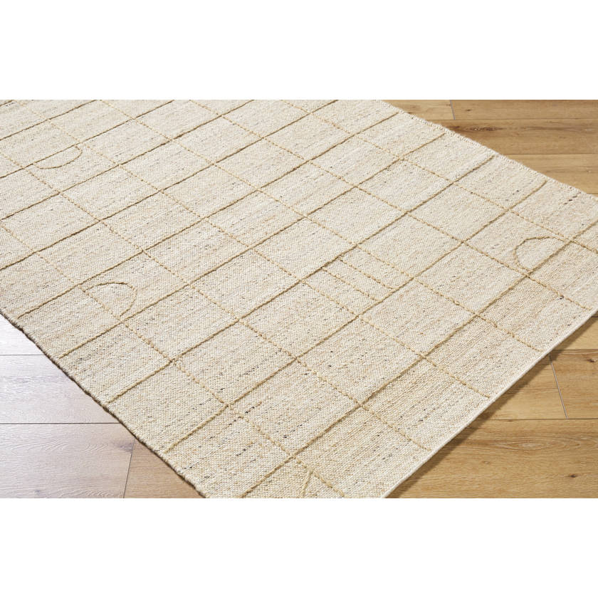 Sharilyn Modern Ash Area Rug