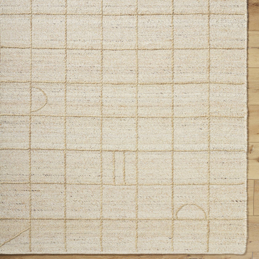 Sharilyn Modern Ash Area Rug