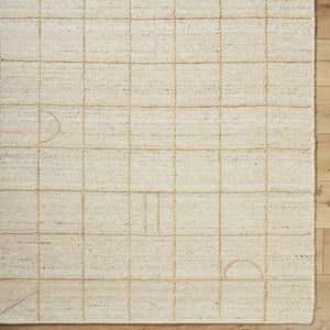 Sharilyn Modern Ash Area Rug