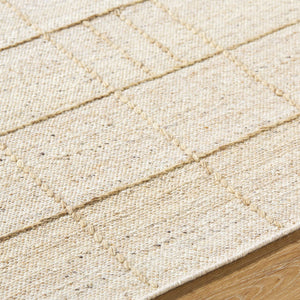 Sharilyn Modern Ash Area Rug